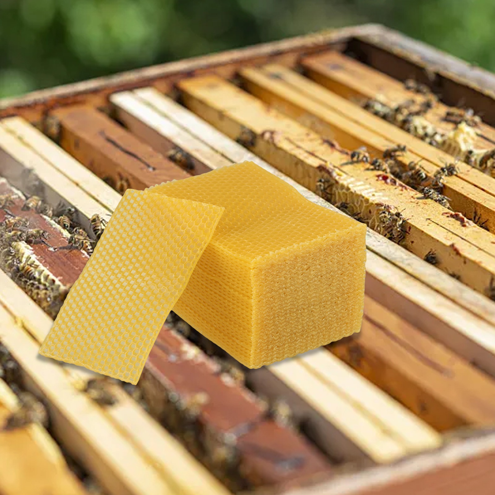 5.24 X 3.54 Beehive Foundation - огляд і ціна Candle Making Kit Beeswax